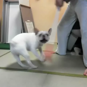 お手伝いのはずが…の画像