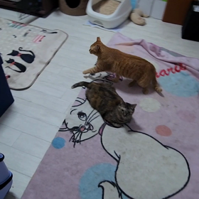 暑い☀️みんなは元気の画像