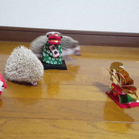 ことよろでーす！の画像