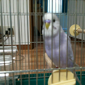 純の最近の画像