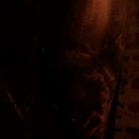 人の魚でテンションMAXの画像