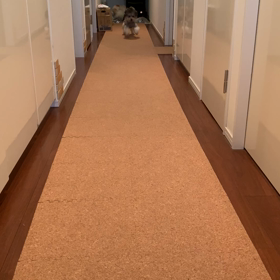 タマゴちゃんの画像