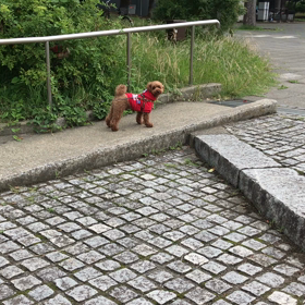 和鉄くんの気持ちになって？の画像