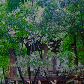 雨の土曜日の画像