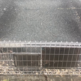 キッチンから見る雪の画像