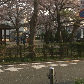 いろんなスイッチ♪の画像