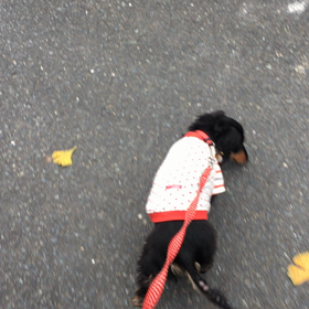 おさんぽ♡の画像