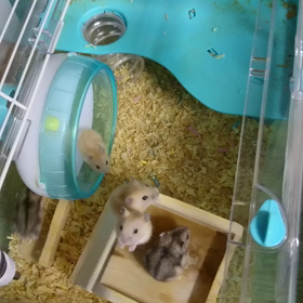 すごい食欲の画像