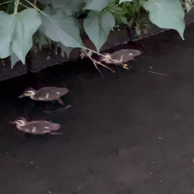 今日の尚整体♪の画像