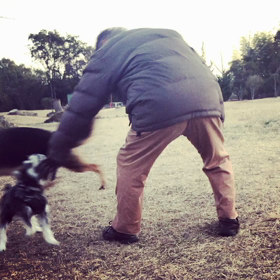 カカッテコンカイの画像