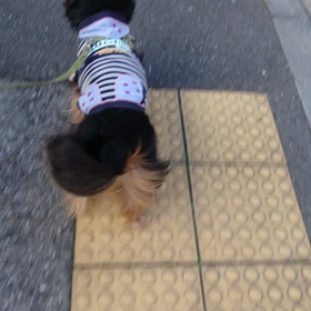 みんみんの萌えもえポイントの画像