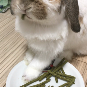 ばあばと同じくらいの画像