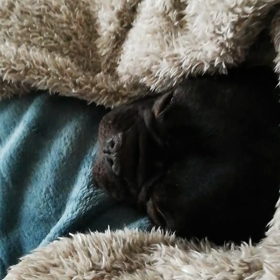 目開けたまま？？の画像