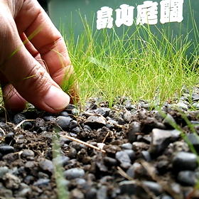 手仕事で運気を上げるの画像