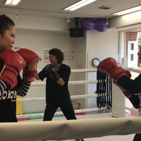 動画特集の画像