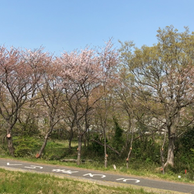 Stay Home  〜ステイホーム  意識と行動 オンラインレッスン〜の画像