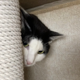 わかめ　初めてあそぶの画像