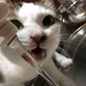 水を飲みながら….の画像