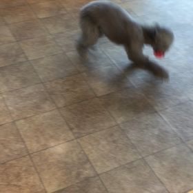 ▶︎ボールで盛り上がるちょっとの画像