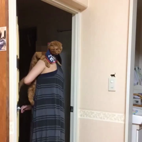 てぶらぽんの画像