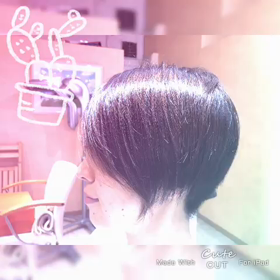 はじまる　はじまる〜の画像