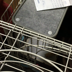 ちひろの入院と手術  3の画像