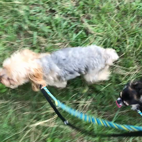 ♪お散歩動画♪代々木公園♪の画像