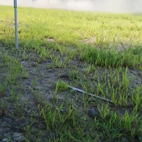 迷惑行為は禁止してくださいの画像