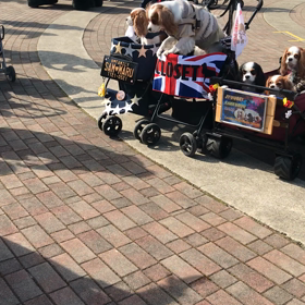 夢は覚めないで‥‥‥の画像