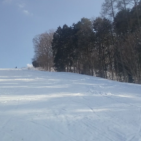 あんなコブやこんなコブの画像