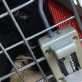 1人だけ早めのワクチンの画像