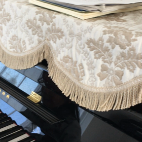 心優ちゃんコンクールの画像