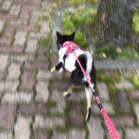 モヤモヤから抜け出そうの画像