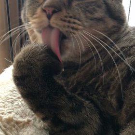 明日は仕事の画像