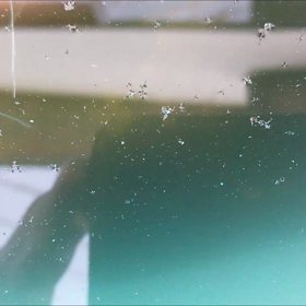 子孫繁栄！の画像