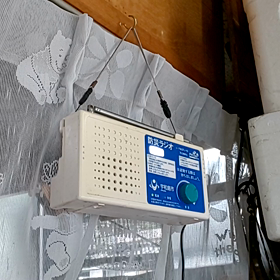 これも記念日ですかねの画像