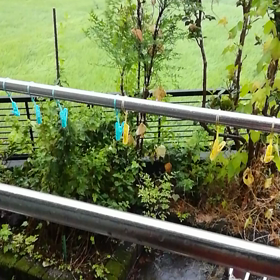 一昨日の夜大分は貿易久留米は軽かったようです。の画像