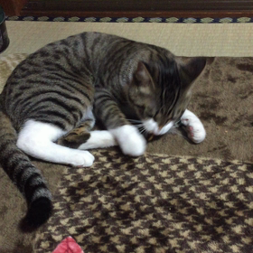 ひとり遊びの画像