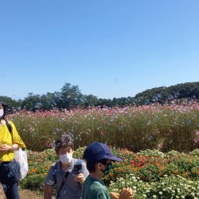 マタマタ～鼻高の丘へ行ってきましたの画像