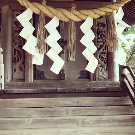 揺れる紙垂の画像