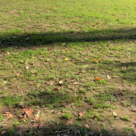 久しぶりに走ったよ！の画像