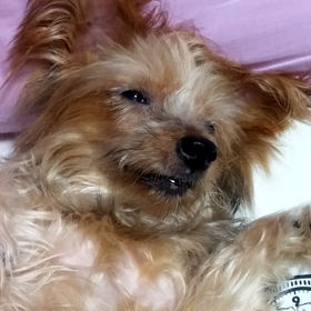 撮らないでよ(´Д｀)の画像