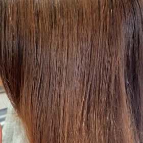 はじめまして！　柴です。の画像