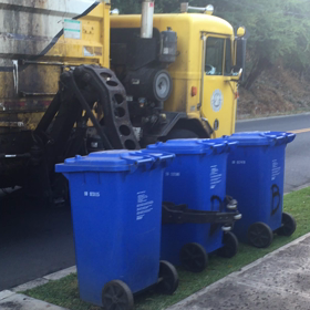 朝ランの途中に遭遇したものの画像