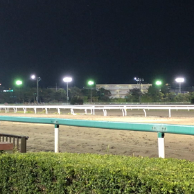11レースの画像