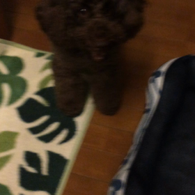 遊び友達？の画像