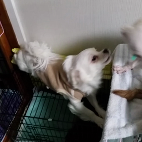 3月24日の事務局っ子達の画像