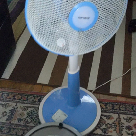 ルンバくんも暑いの画像