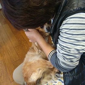 始まらなかった不妊治療(爆)の画像