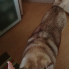 ３歩進んだのに２歩下がっちゃったような気がの画像